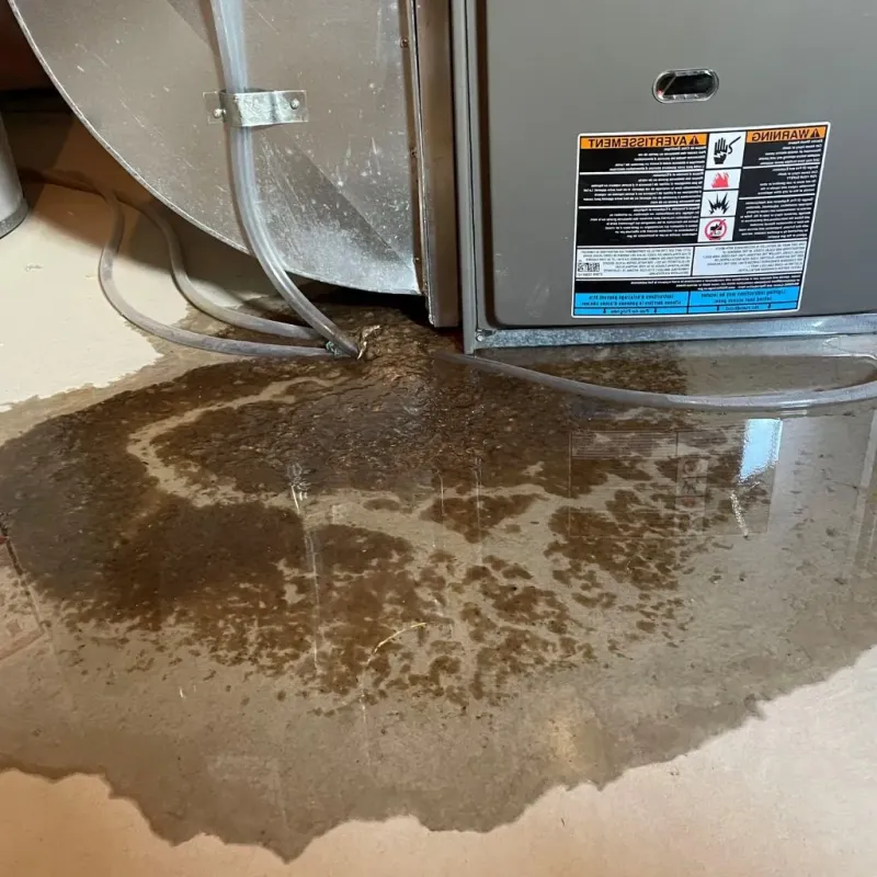 Pipe Burst and Leak Restoration in Tenafly, NJ